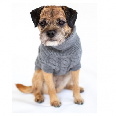 Rascal Dog Jumper in Grey 